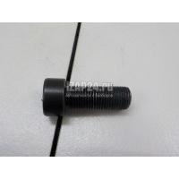 Болт маховика VAG Allroad quattro (2012 - 2019) WHT007991