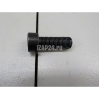 Болт маховика VAG Allroad quattro (2012 - 2019) WHT007991