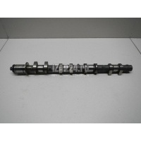 Распредвал выпускной Nissan Micra (K12E) (2002 - 2010) 13020BC21A
