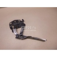 Петля капота правая VAG Passat [B6] (2005 - 2010) 3C0823302E