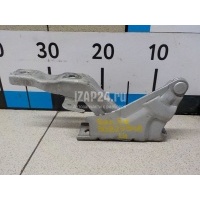 Петля капота левая Hyundai-Kia Santa Fe (CM) (2006 - 2012) 791102B000