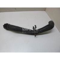 Патрубок радиатора Ford Fiesta (2001 - 2008) 1528662