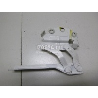 Петля капота левая VAG Passat [B7] (2011 - 2015) 3AA823301