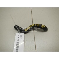 Патрубок Ford C-MAX (2003 - 2010) 1317039