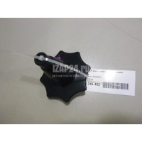 Болт крепления запасного колеса GM Corsa C (2000 - 2006) 13132390