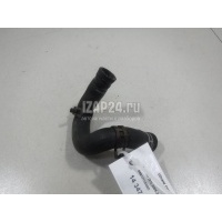 Шланг системы охлаждения VAG A4 [B6] (2000 - 2004) 06B121058BD
