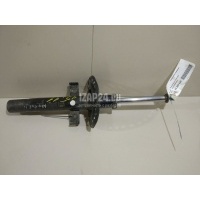 Амортизатор передний Renault Megane II (2003 - 2009) 8200663654