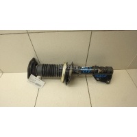 Амортизатор передний Renault Kangoo (2008 - ) 543020572R