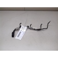 Проводка (коса) Ford C-MAX (2003 - 2010) 1319522