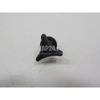 Крепеж Renault Scenic III (2009 - 2015) 7703041048