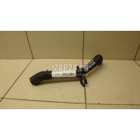 Патрубок радиатора Ford Fiesta (2001 - 2008) 1528662
