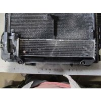 Радиатор масляный C W202 1999