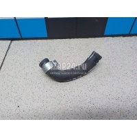 Шланг VAG Allroad quattro (2000 - 2005) 078133784AT
