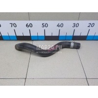 Патрубок радиатора Honda Civic 5D (2006 - 2012) 19502RSAG00