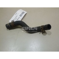 Патрубок Ford C-MAX (2003 - 2010) 1317039