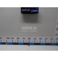 Болт полый Iveco Daily (1999 - 2006) 10184417