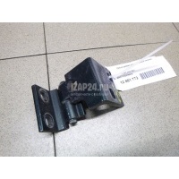Петля двери задней правой нижняя BMW X5 E53 (2000 - 2007) 41528269846
