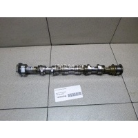 Распредвал впускной VAG A4 [B8] (2007 - 2015) 06E109003H