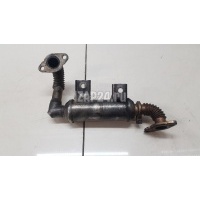 Радиатор системы EGR Ford Focus II (2005 - 2008) 1367256
