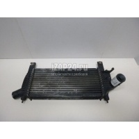 Интеркулер Nissan Navara (D40) (2005 - 2015) 14461EB360