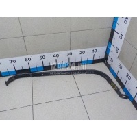 Лента крепления бензобака Hyundai-Kia Sorento II (2009 - 2020) 312102P300