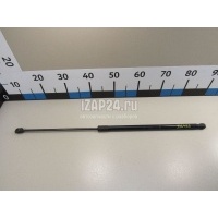 Амортизатор капота VAG Passat CC (2008 - 2017) 3C8823359