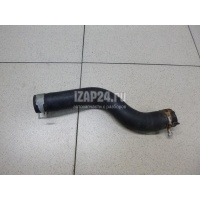 Патрубок радиатора Honda Jazz (2008 - 2015) 19501RB0000