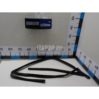 Уплотнитель стекла двери Ford C-MAX (2003 - 2010) 1361848
