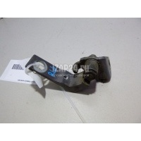 Петля двери задней левой нижняя Ford C-MAX (2010 - ) 1781669