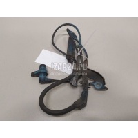 Датчик ABS передний правый Toyota RAV 4 (2000 - 2005) 8954242040