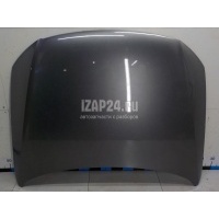 Капот VAG Passat [B6] (2005 - 2010) 3C8823031D