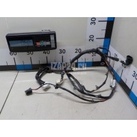 Проводка (коса) Nissan Navara (D40) (2005 - 2015) 24124EB802