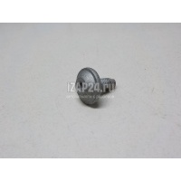 Винт VAG A7 (4G8) (2011 - 2018) WHT004905