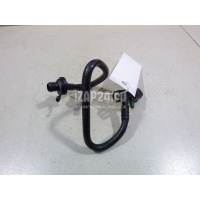 Шланг вакуумного усилителя тормоза VAG Passat [B6] (2005 - 2010) 3C0612041BL