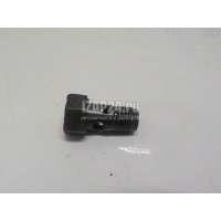 Болт полый Suzuki Liana (2001 - 2007) 0936016008