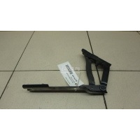 Петля капота левая BMW 5-серия E60/E61 (2003 - 2009) 41617120275