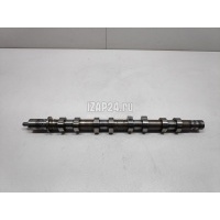 Распредвал выпускной Renault Clio II/Symbol (1998 - 2008) 130208342R