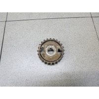Шестерня привода ТНВД Land Rover Discovery III (2004 - 2009) 1311294