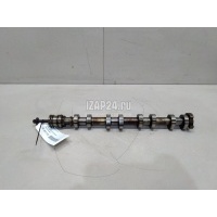 Распредвал выпускной BMW 5-серия F10/F11 (2009 - 2016) 11317629527