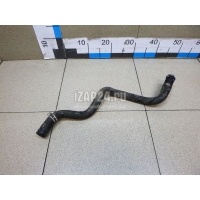 Патрубок отопителя Ford C-MAX (2003 - 2010) 1491671