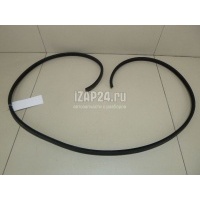 Уплотнитель (наружный) VAG Octavia (A4 1U-) (2000 - 2011) 1U6810957B
