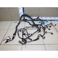 Проводка (коса) Ford C-MAX (2003 - 2010) 1674421