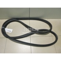 Уплотнитель двери Renault Megane II (2003 - 2009) 8200077500