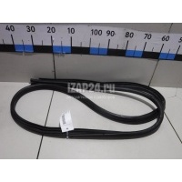 Уплотнитель (наружный) Ford Mondeo III (2000 - 2007) 1383580