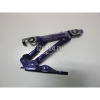 Петля крышки багажника Mazda Mazda 3 (BK) (2002 - 2009) BN8V52710C