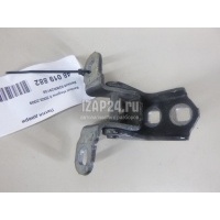 Петля двери Renault Megane II (2003 - 2009) 8200029139