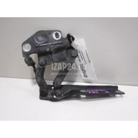 Петля капота правая VAG Passat [B6] (2005 - 2010) 3C0823302E
