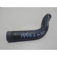 Шланг топливный Ford C-MAX (2003 - 2010) 1303785