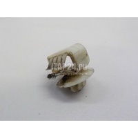 Крепеж (клоп) Nissan Almera (G15) (2013 - 2018) 8253500QAA