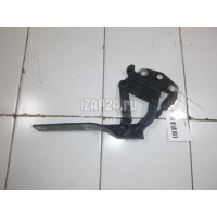 Петля капота левая VAG Passat [B6] (2005 - 2010) 3C0823301E